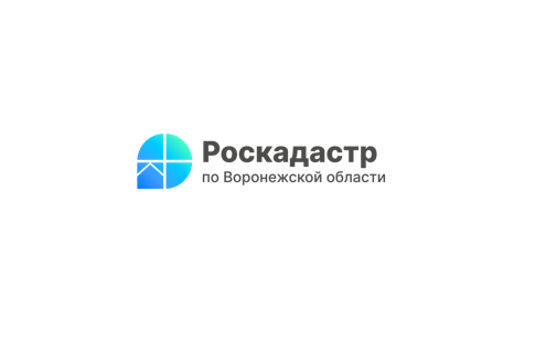 Почти 3 тысячи объектов культурного наследия Воронежской области внесено в ЕГРН.